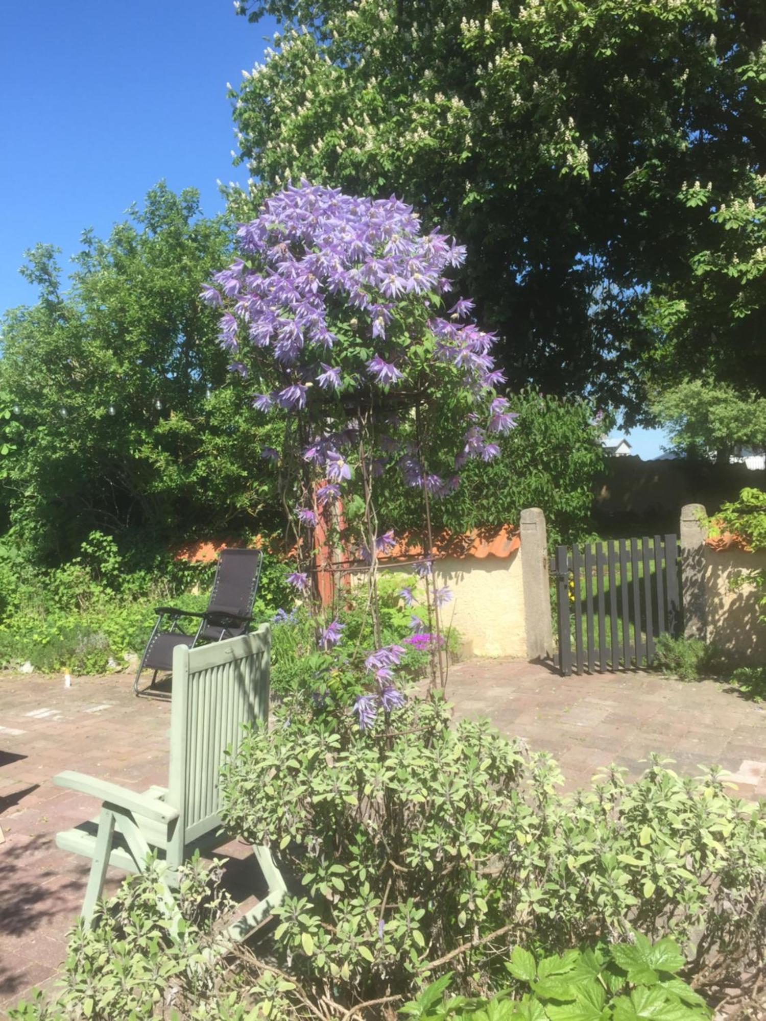 Koepmansgarden Bed & Breakfast Vellinge ห้อง รูปภาพ