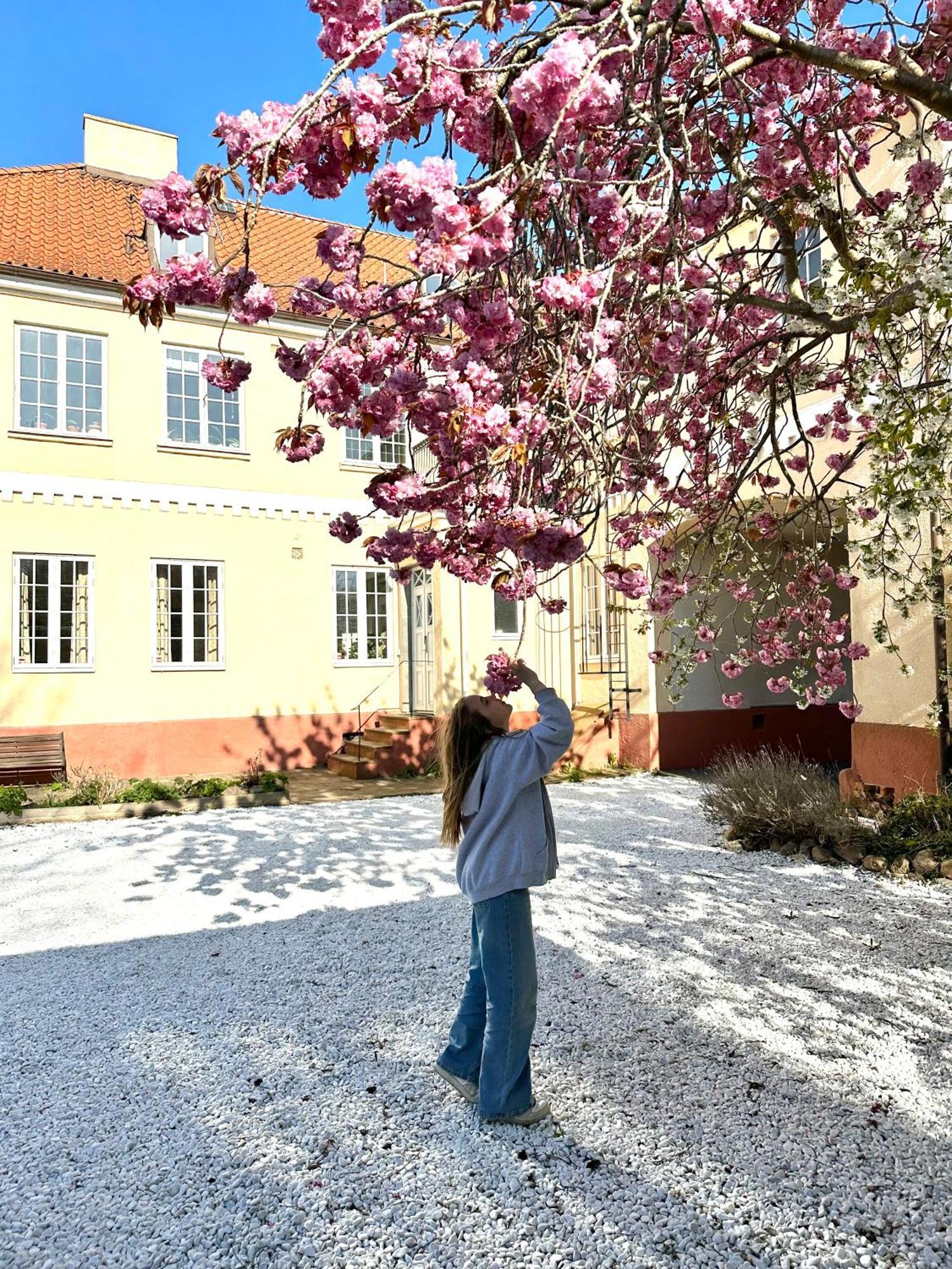 Koepmansgarden Bed & Breakfast Vellinge ห้อง รูปภาพ