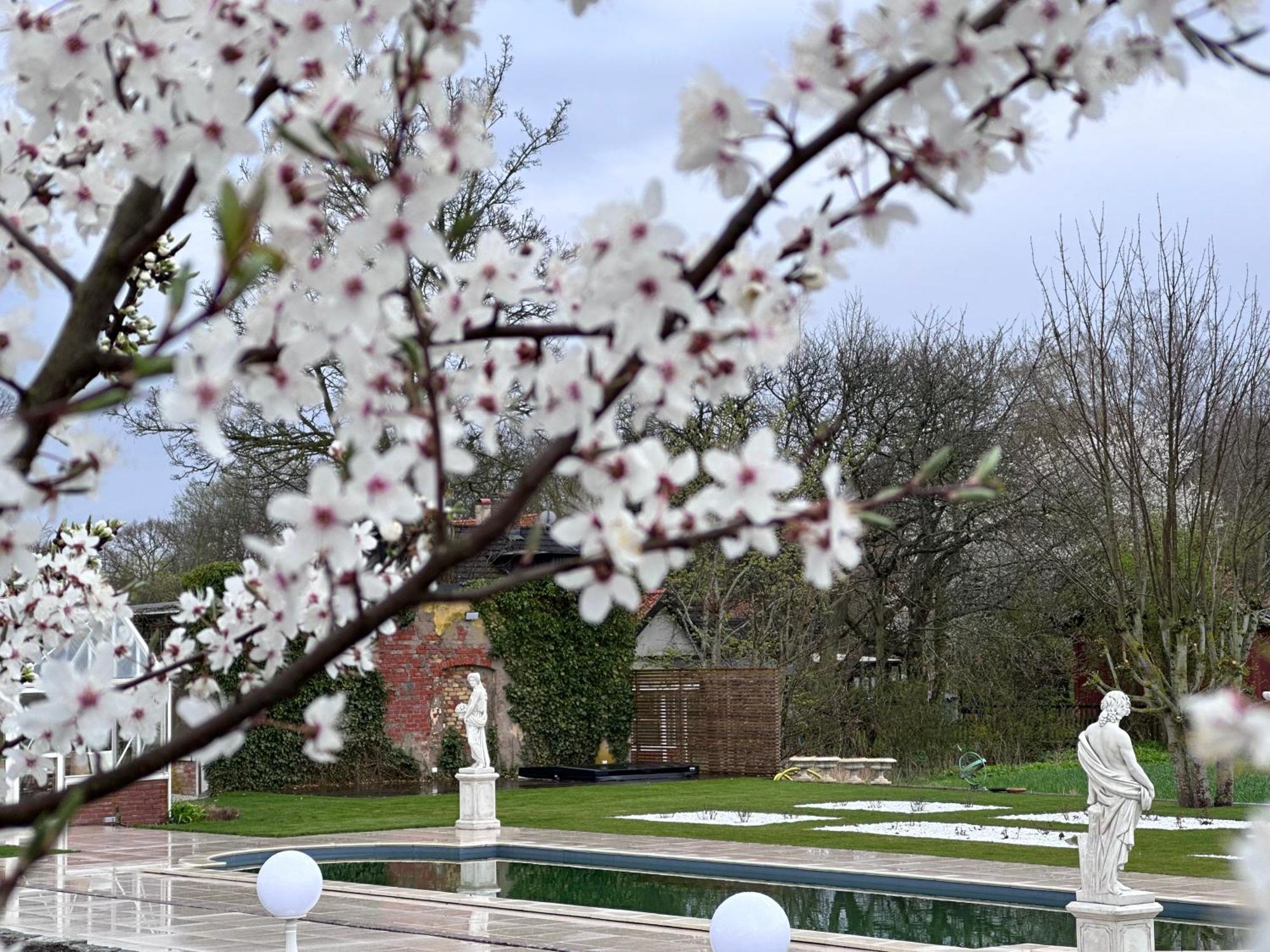 Koepmansgarden Bed & Breakfast Vellinge ห้อง รูปภาพ